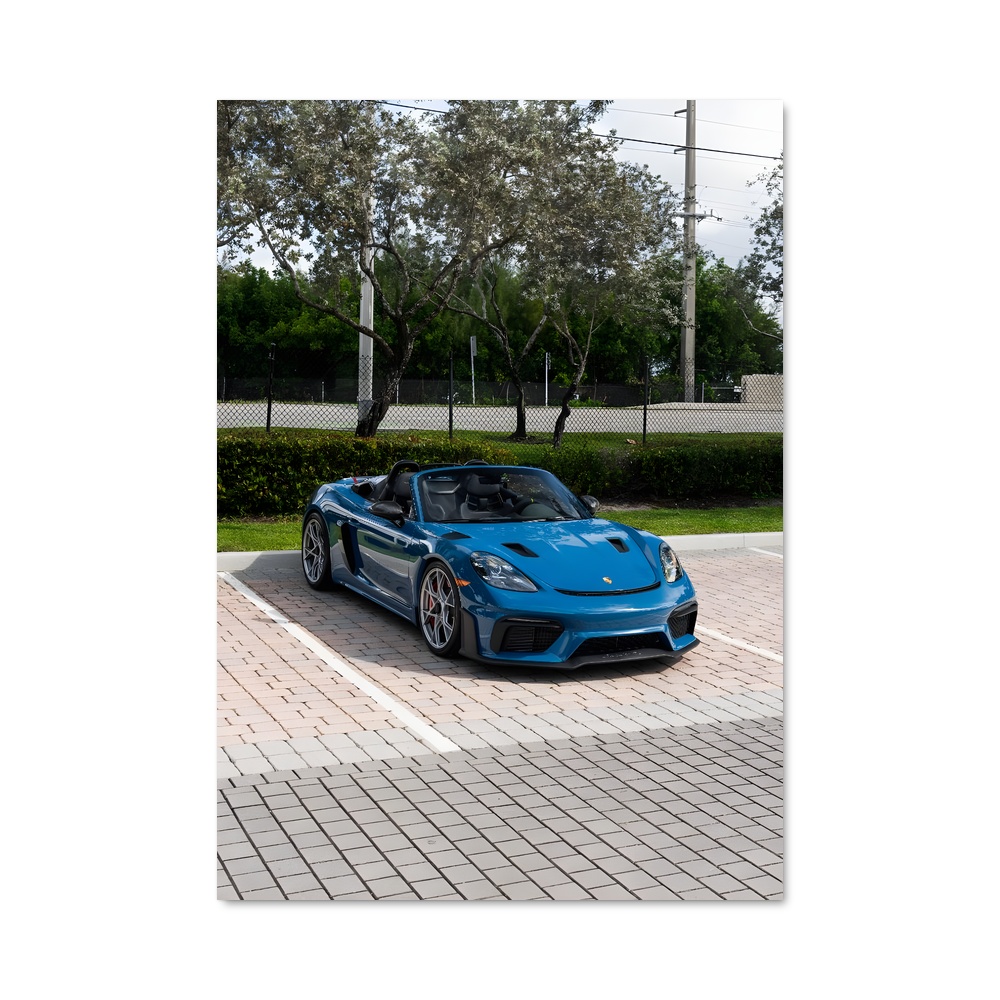 Poster 718 Spyder Énigmatique